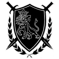 Strategique Solutions Llc