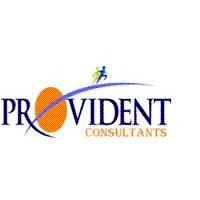 Provident Consultant Pvt. Ltd. logo - Similar company to Do Undo