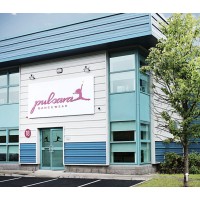 Pulsara Dancewear logo - Similar company to Katusha Studios