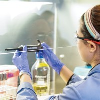 San José State University Research Foundation logo - Similar company to Sjsu Mechanical Engineering Department