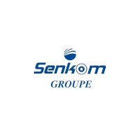 SENKOOM GROUPE logo - Similar company to Wawaw