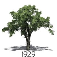 ELMHURST COUNTRY CLUB logo - Similar company to Windview Athletic Fields