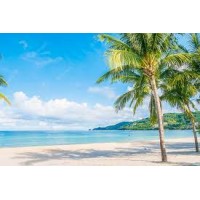 AD softwares logo - Similar company to Adsoftware Solutions