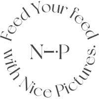 Nice Pictures logo - Similar company to Studio Freewillusion Inc.