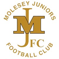 Molesey Juniors