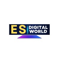 ES Digital World logo - Similar company to Evision Techno Solutions Llp