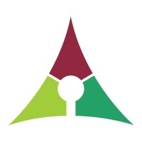 Brady Perspectives logo - Similar company to Empowered Young Leaders