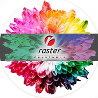 Raster Ltd logo - Similar company to Max1 Hosting
