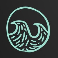 Litter Token logo - Similar company to Black Binance Token
