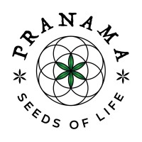 Pranama logo - Similar company to Pranam Infotech