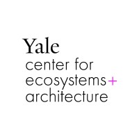 Yale CEA logo - Similar company to Estudio Berned