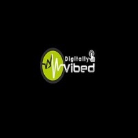 Digitally Vibed logo - Similar company to Blitzwork