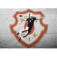 Årsta Aik Handbollsförening - En Av Södra Stockholms Äldsta Och Största Handbollsföreningar