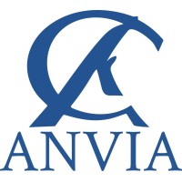 Anvia Consulting logo - Similar company to Bizview