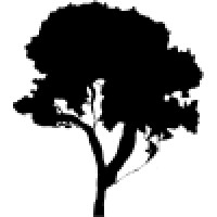 Erik Burns Interactive