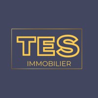 TES IMMOBILIER logo - Similar company to Blend Immobilier