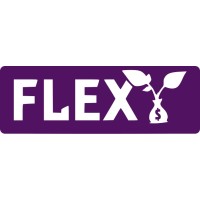 Flexy Team logo - Similar company to Technoworld It Solutions