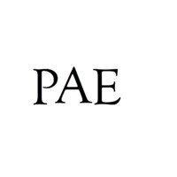PAE Professional Services logo - Similar company to Tvbizz