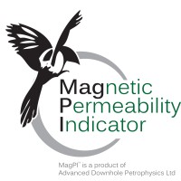 Advanced Downhole Petrophysics Ltd