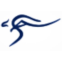 Chain Systems Australia logo - Similar company to Saunders Distribution