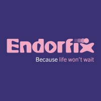 Endorfix logo - Similar company to Lucent Globe