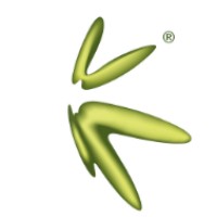 Konew FinTech Corporation Limited logo - Similar company to Funki Finance