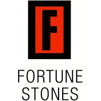 Fortune Stones Ltd. logo - Similar company to Magicturtles