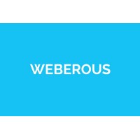 Weberous Web Design logo - Similar company to Tiger Logic
