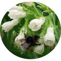 Team Building Nature logo - Similar company to Wellyon-Event