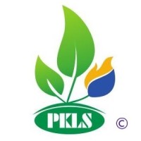 PKLS GROUP logo - Similar company to B&R Technologies