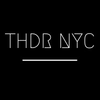 Theodore NYC logo - Similar company to Thdr Group