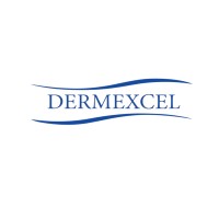 Dermexcel Perfumes and Cosmetics Trading L.L.C logo - Similar company to Élan Professional Line