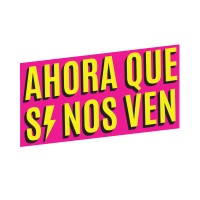 Observatorio Ahora Que Sí Nos Ven logo - Similar company to Data-Pop Alliance'S Data Feminism Network