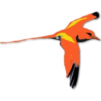 Bermuda Virtual Tours Ltd logo - Similar company to International Chamber Of Digital Commerce Bermuda | Icdc Bermuda