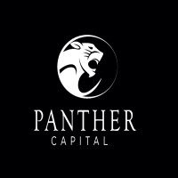 Panther Capital logo - Similar company to Terrace Tower Group