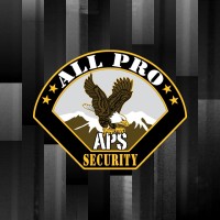 All Pro Security Llc