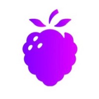WellBerry logo - Similar company to Chord.Fm