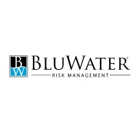 BluWater Risk Management logo - Similar company to The Bluwater Group