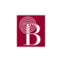 Bassilichi logo - Similar company to Bds S.P.A.