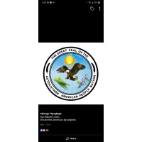 KNIGHTS TEMPLAR INTERNATIONAL NOVUS ORDRE MILITIAE logo - Similar company to Jason Group