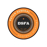 Dutch Sénégal Football Academy (DSFA) logo - Similar company to Ctvision