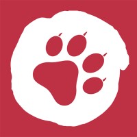 Wildsoft LTD logo - Similar company to Nododes
