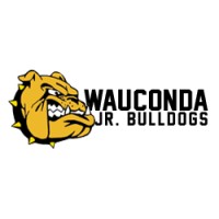Wauconda Hoops NFP logo - Similar company to Impact Interview