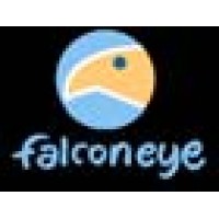 FalconEye Designs, LLC logo - Similar company to Falcon It Solutions