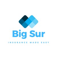 Big Sur logo - Similar company to Big Sur