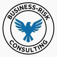 Business-Risk Consulting logo - Similar company to The Venturesmiths