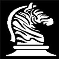 Bold Zebras logo - Similar company to Develop 1 Ltd