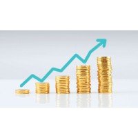 SDSD Capital logo - Similar company to Totalpro