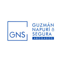 GNS Guzmán Napurí & Segura Abogados logo - Similar company to Abca Latam