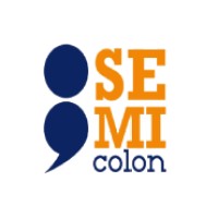 semicolon logo - Similar company to Techniqium
